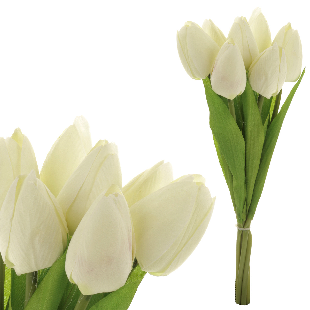 Puget tulipánů, 7 květů, barva krémová.