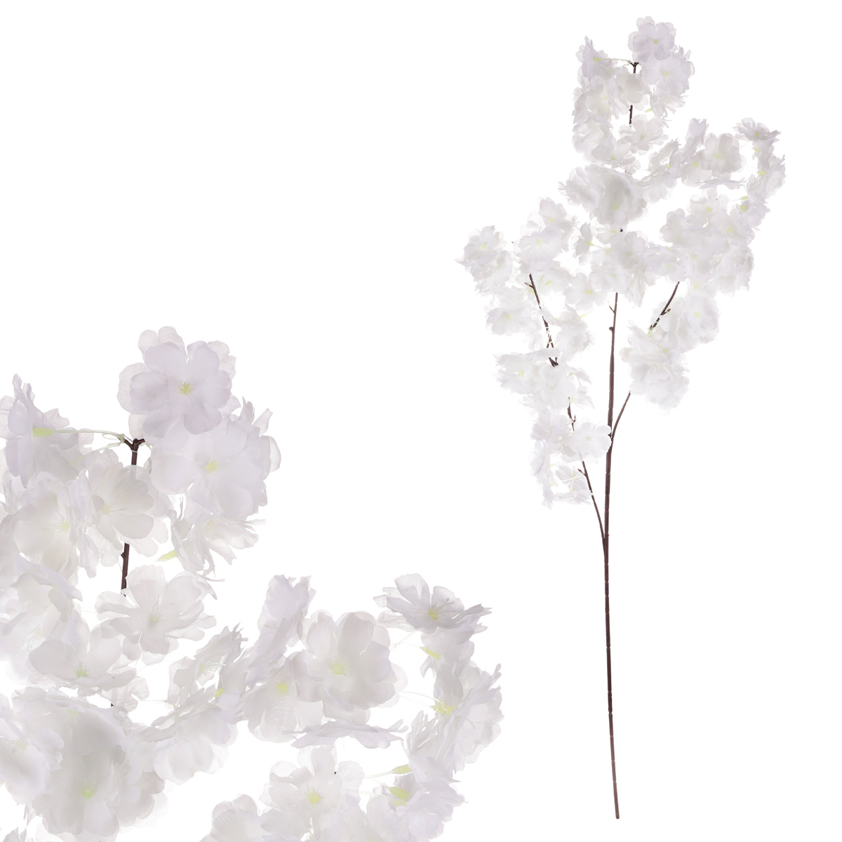 Třešeň, větev, bílá barva.