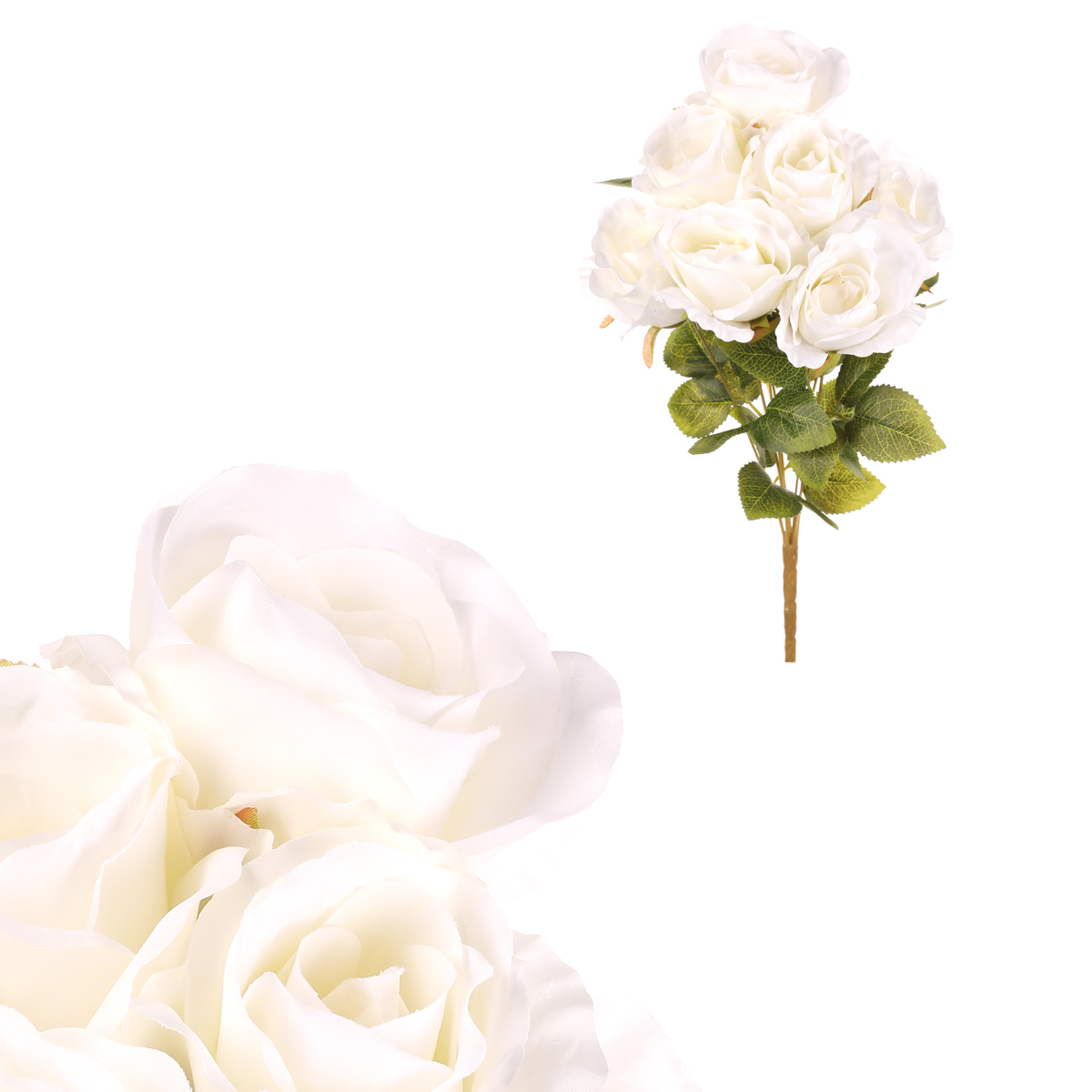 Růže v pugetu, bílá barva.