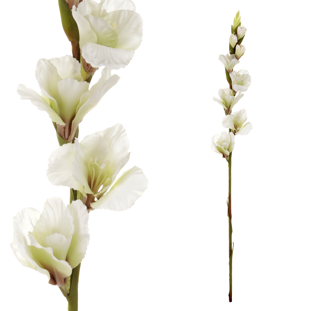 Gladiola, barva bílá. Květina umělá.