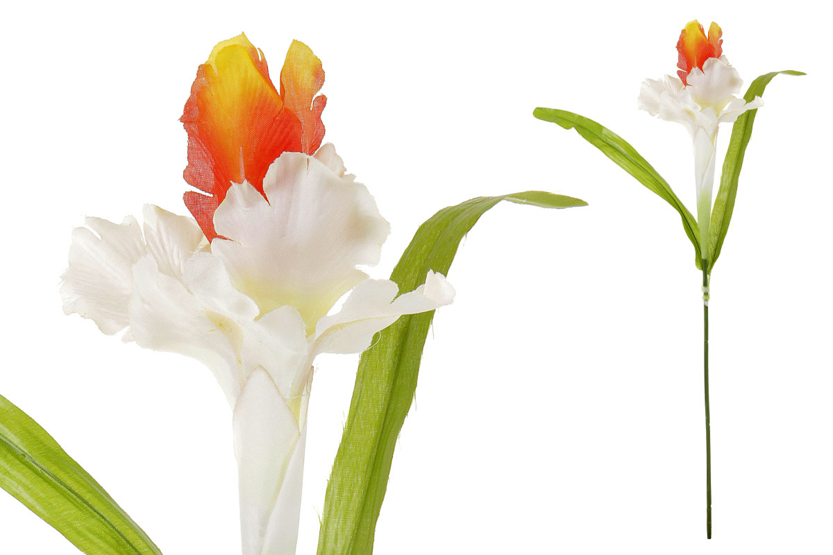 Iris, barva bílo-oranžová, umělá květina.