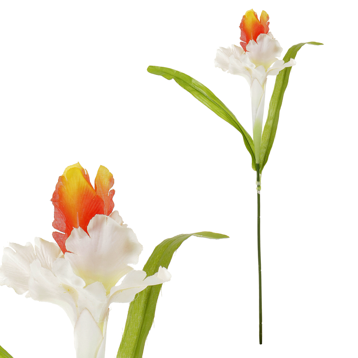 Iris, barva bílo-oranžová, umělá květina.