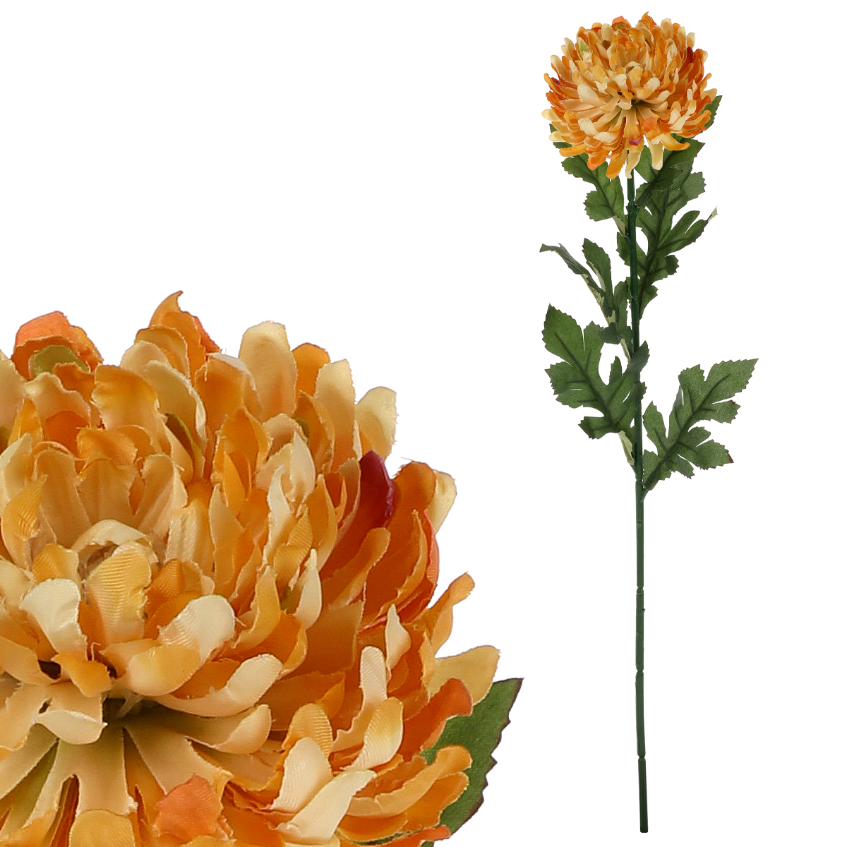 Chryzantéma velkokvětá, jednohlavá, barva oranžová žíhaná.