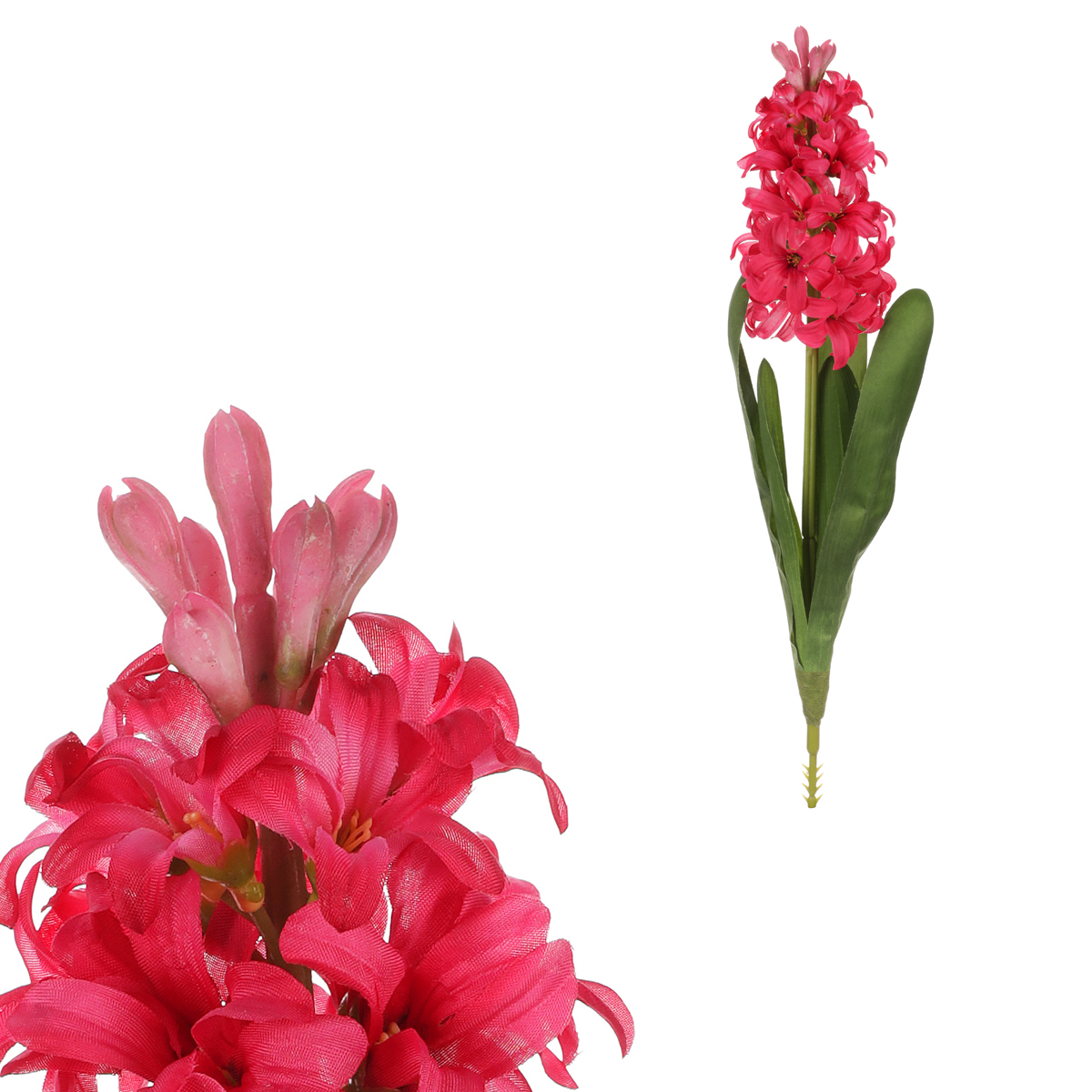 Hyacint, tm.růžová barva.