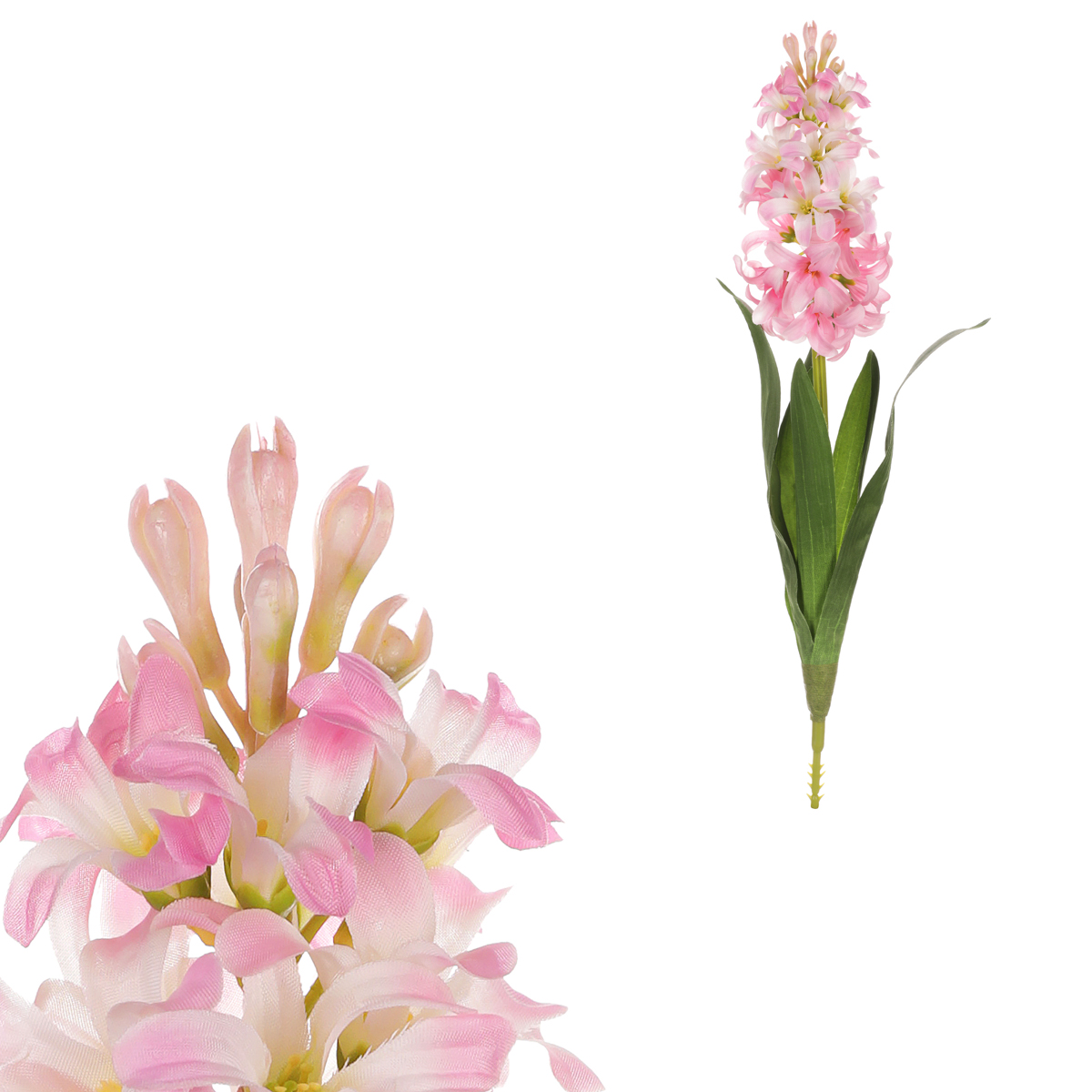 Hyacint, sv.růžová barva.