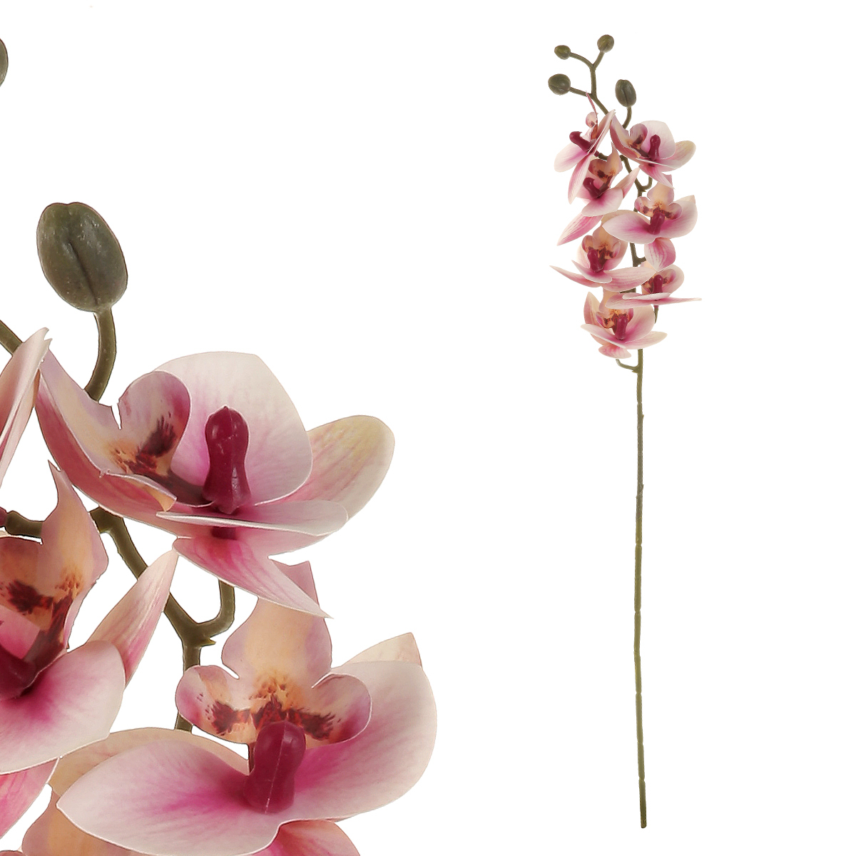 Orchidej - barva světle růžová.
