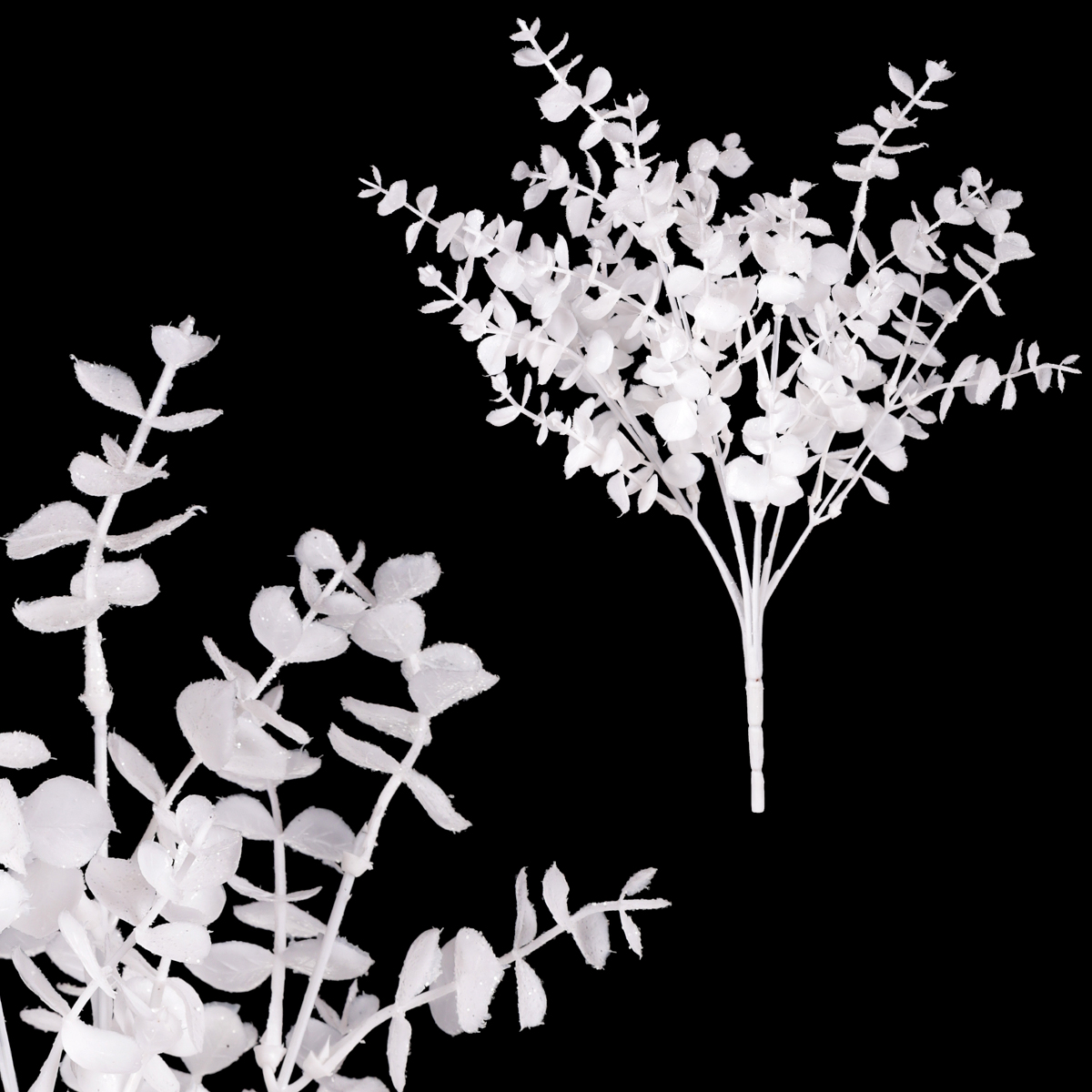 Buxus v trsu - bílá barva