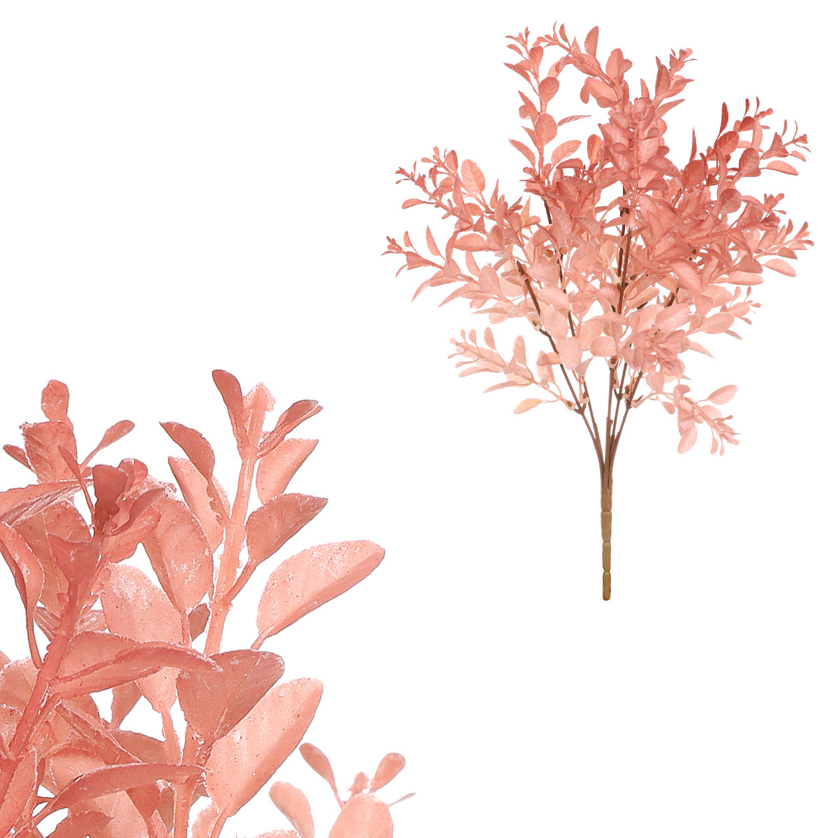 Buxus trs, staro-růžová barva.