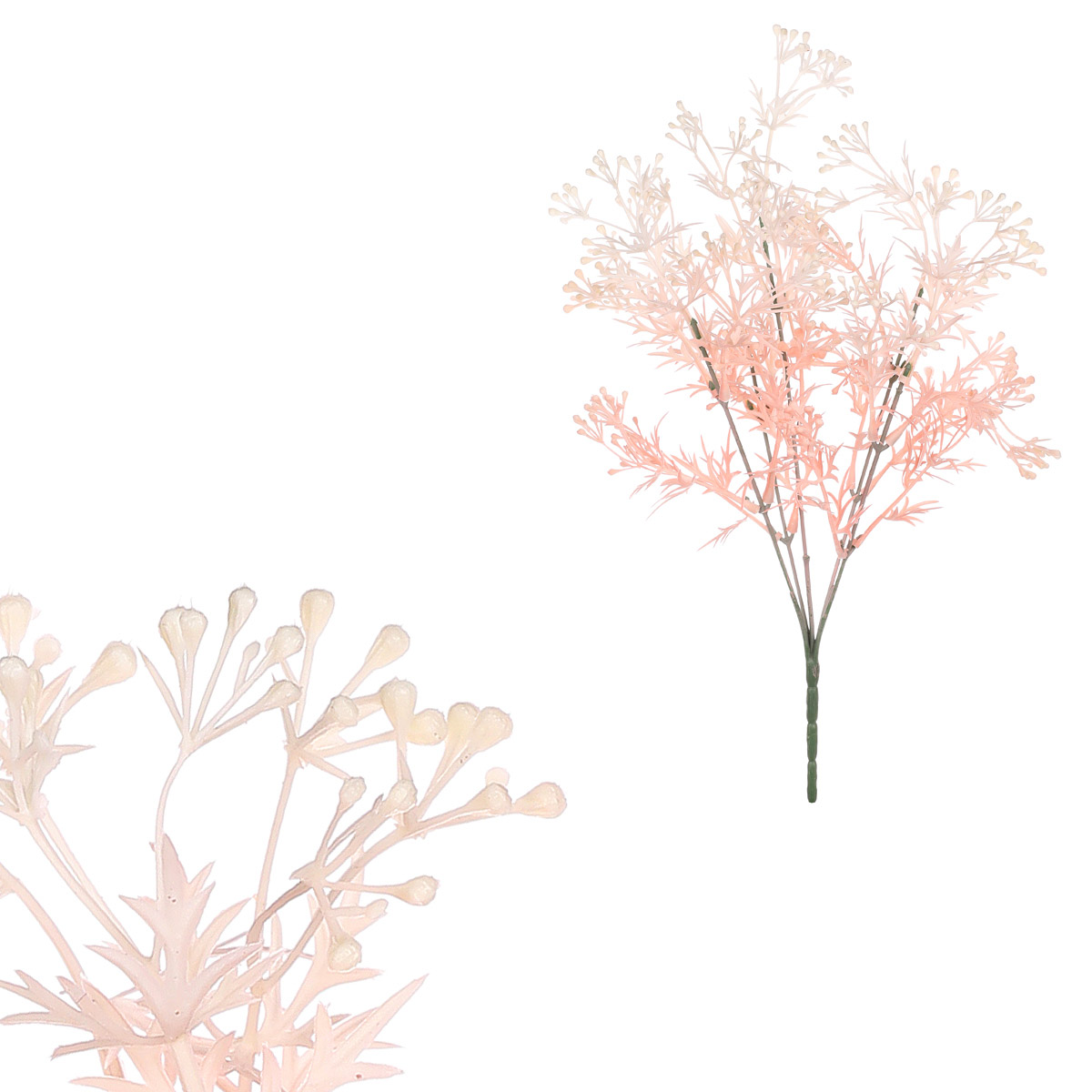 Tráva kvetoucí, růžovo-bílá barva.