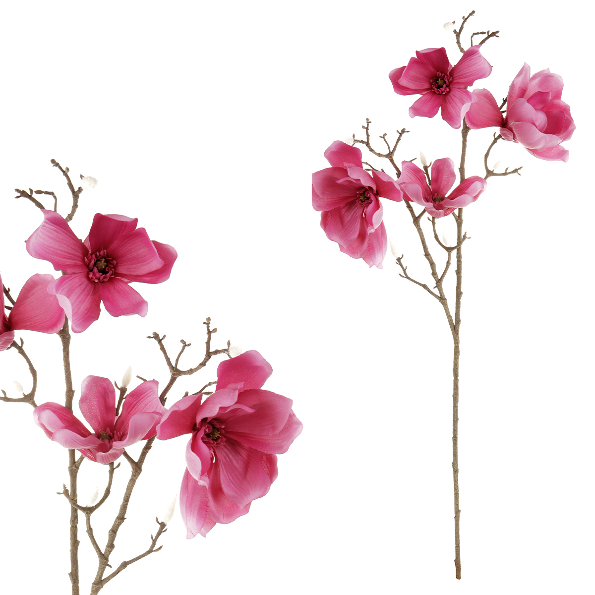 Magnolie, 4 květy, tm.růžová barva.