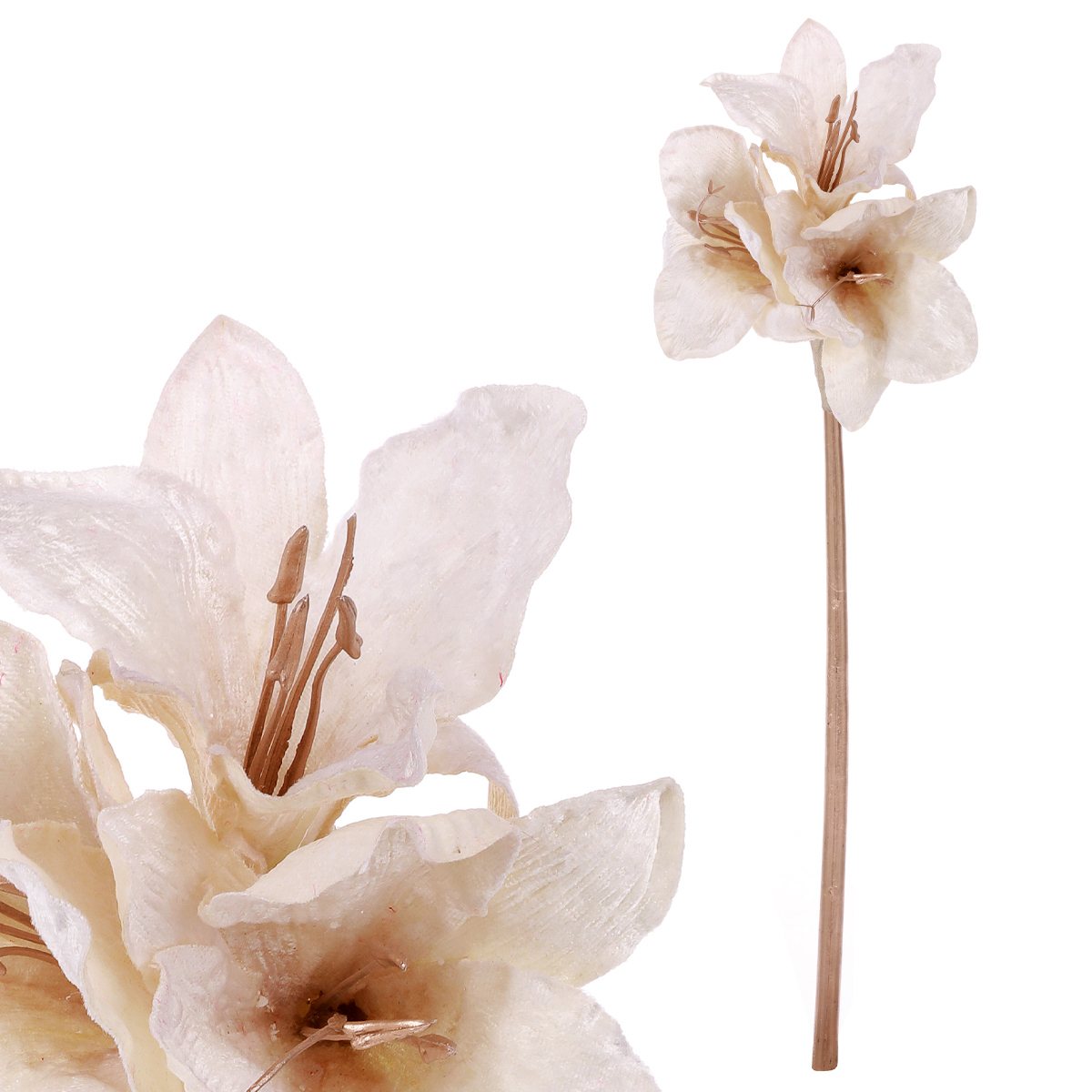 Amarylis, umělá květina, barva krémová .