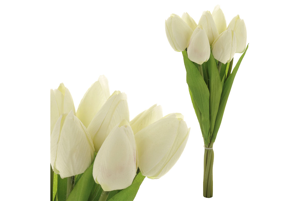 Puget tulipánů, 7 květů, barva krémová.