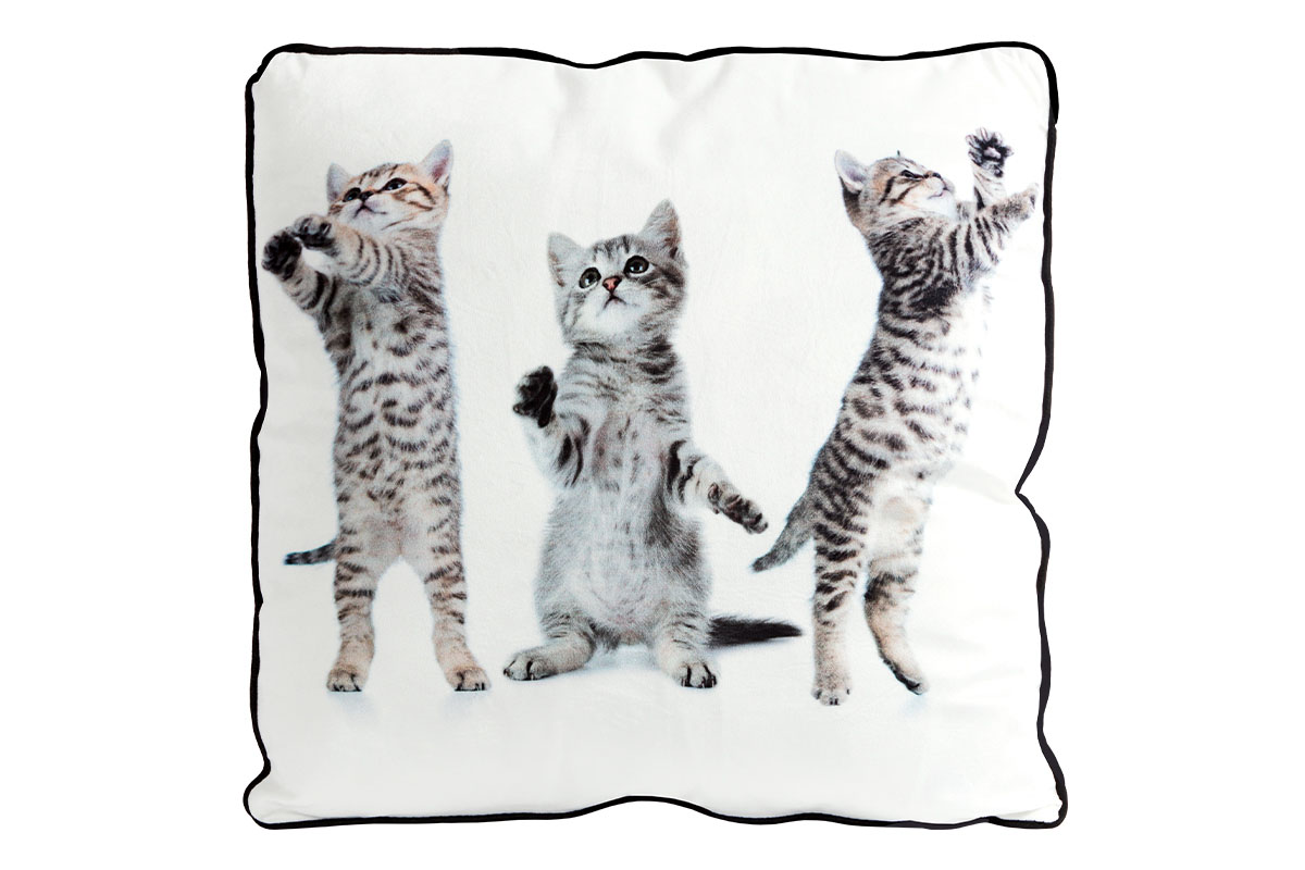 VAKÚŠ S VÝPLŇOU, foto z oboch strán, 3 mačiatka