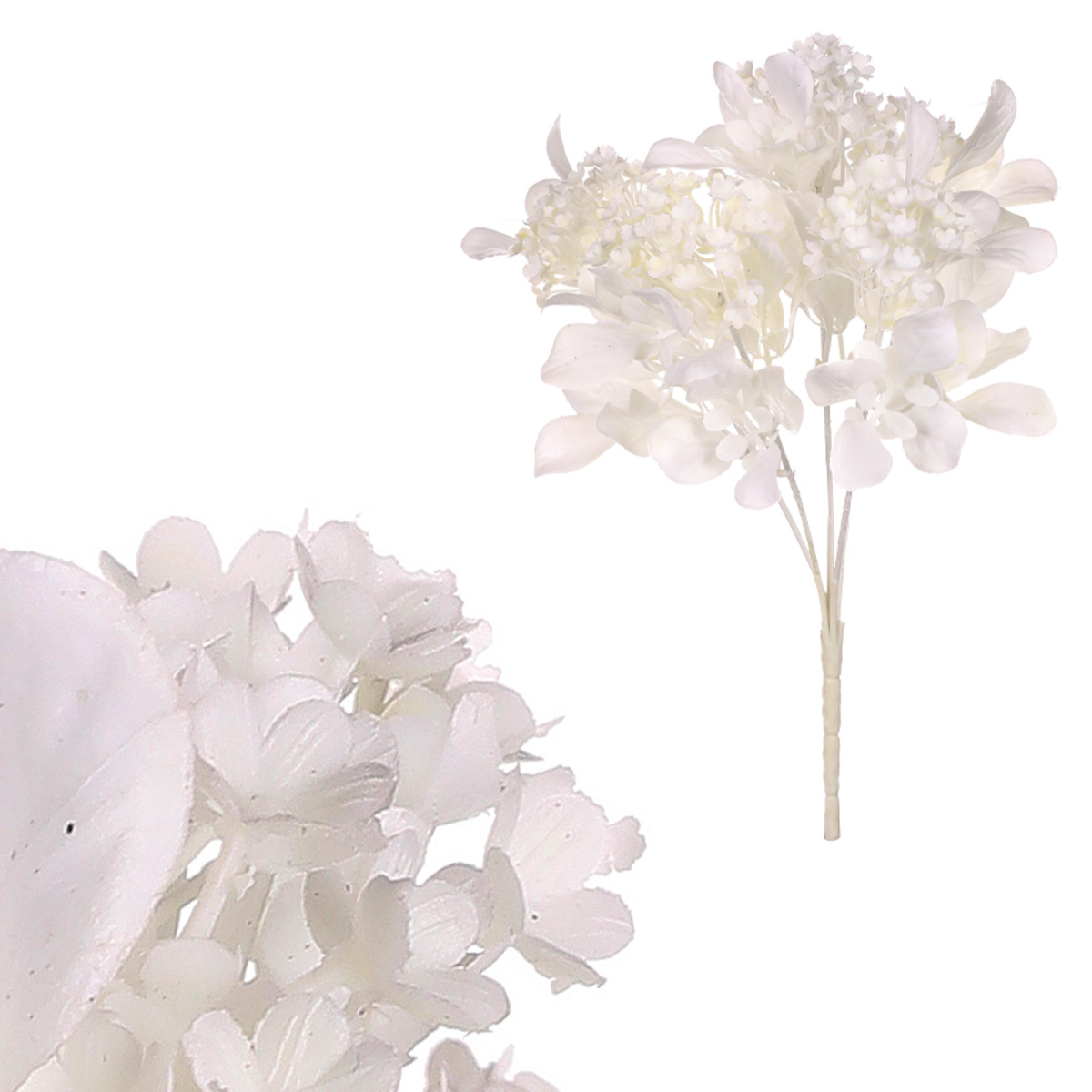 Kytice kvetoucí, bílá barva.