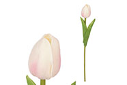 Tulipán mini, barva krémová. Květina umělá pěnová. Cena za 1ks.
