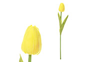 Tulipán mini, barva žlutá. Květina umělá pěnová