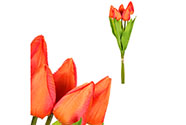 Tulipány v pugetu, barva oranžová.