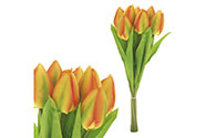 Puget tulipánů, 7 květů, barva žlutá.