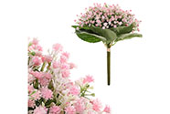 Nevěstin závoj, puget, růžové květy.