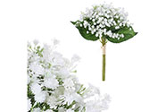 Nevěstin závoj, puget, bílé květy.