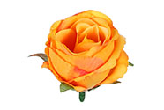 Růže, barva oranžová. Květina umělá vazbová. Cena za balení 12 kusů.