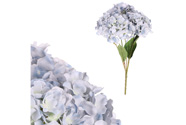 Hortenzie, kytice, 5 květů - barva světle modrá.