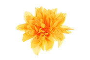 Jiřina, barva oranžová. Květina umělá vazbová. Cena za balení 12ks.