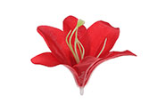 Lilie, barva červená. Květina umělá vazbová. Cena za balení 12ks.