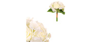 Růže a hortenzie, kytice, barva bílá.