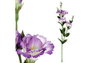 Eustoma, umělá květina, barva fialová