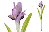 Iris, barva bílo-fialová, květina umělá.