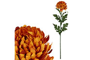 Chryzantéma velkokvětá, jednohlavá, barva tmavě oranžová.