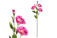 Eustoma, umělá řezaná květina, barva fialová.
