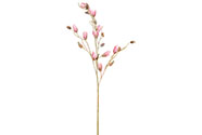 Magnolie poupě, barva světle  růžová ojíněná Květina umělá.