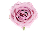 Růže, barva fialová. Květina umělá vazbová. Cena za balení 12 ks
