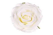 Růže, barva bílá, Květina umělá vazbová. Cena za balení 12 kusů
