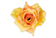 Růže, barva žluto-oranžová, Květina umělá vazbová. Cena za balení 6 kusů.