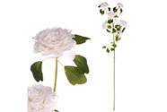 Květina s bílými květy (Zákula japonská). Cena za 1ks. Ve svazku 6ks.