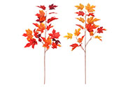 Větev podzimní, mix 2 druhů. Cena za 1ks.