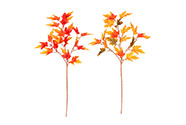 Javorová větev - umělá, mix 4 podzimních barev, cena za 1 ks.