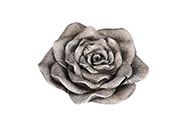 Květ růže v klasickém tvaru - velký, polyresin, barva šedá.