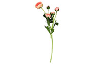Ranunkulus 5 hlav, barva růžová. Květina umělá.