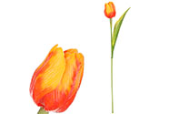 Tulipán plastový v oranžové barvě. Cena za 1ks. Ve svazku 12ks.
