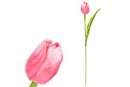 Tulipán plastový v růžové  barvě. Cena za 1ks. Ve svazku 6 ks.