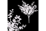 Buxus v trsu - bílá barva s glitry