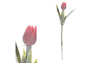 Mini tulipán v bordó barvě  - zápich. Cena za 1ks. Ve svazku 6ks.