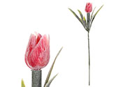 Mini tulipán v růžové barvě  - zápich. Cena za 1ks. Ve svazku 6ks.