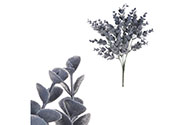 Eukalyptus v trsu, šedo-modrá barva.