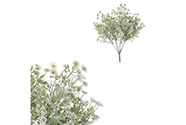 Zeleň kvetoucí, bílé květy - trs.