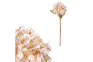 Hortenzie s pozlacením - umělý květ na stonku, barva krémová.